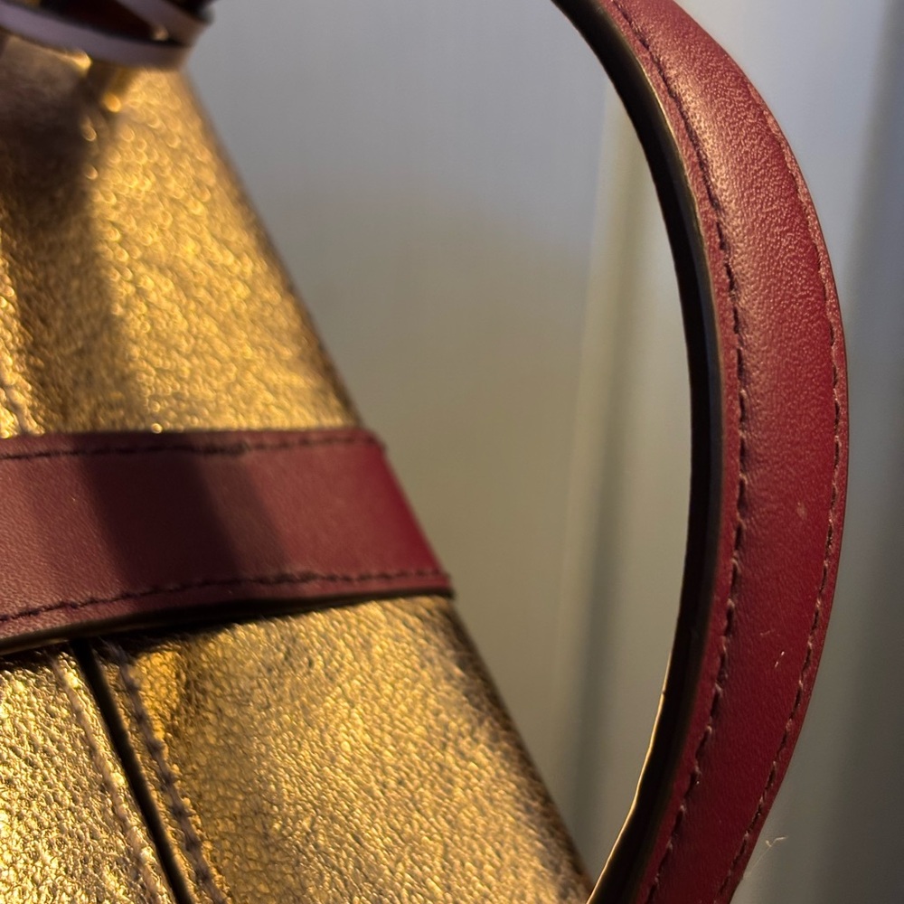 Kate Spade Gold and Burgundy Women's Bag - Picture 5 of 13